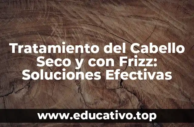 Tratamiento del Cabello Seco y con Frizz: Soluciones Efectivas