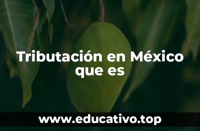 El funcionamiento del sistema tributario mexicano