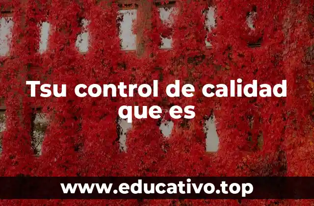 La importancia del control de calidad en la producción