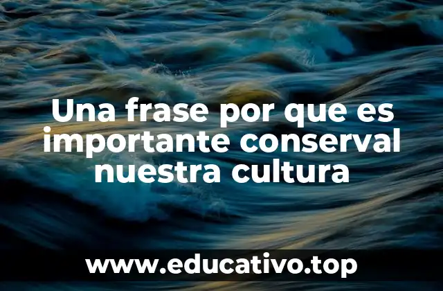 La importancia de las raíces en un mundo acelerado