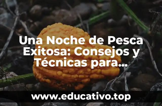 Una Noche de Pesca Exitosa: Consejos y Técnicas para Pescadores Principiantes