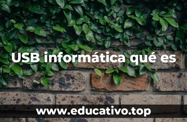 USB informática qué es