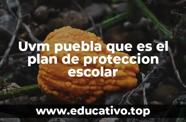 La importancia de un entorno seguro para el desarrollo académico