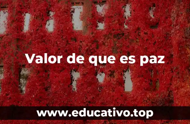 Valor de que es paz