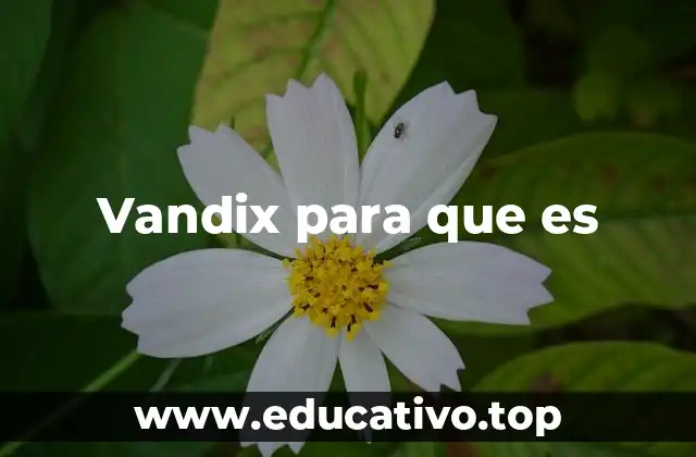 Vandix para que es