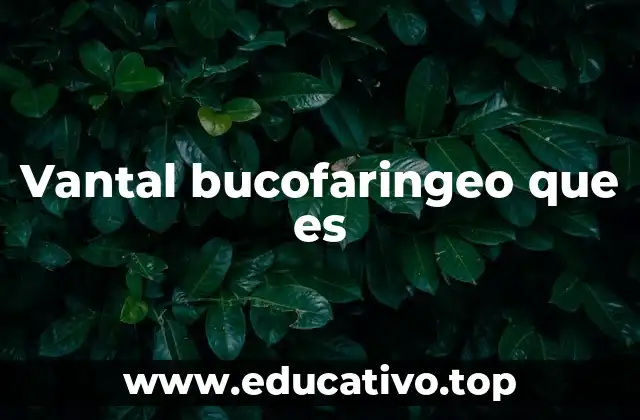 Vantal bucofaringeo que es