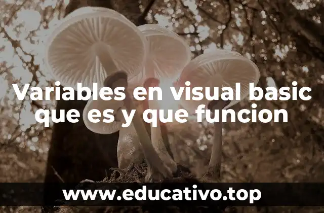 Variables en visual basic que es y que funcion