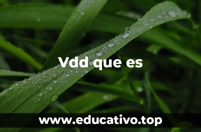 Vdd que es