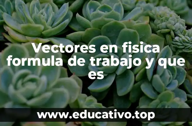 La importancia de los vectores en la descripción del movimiento y el trabajo