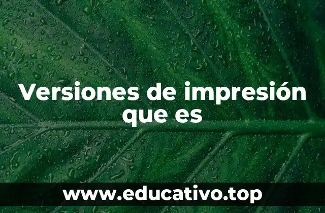 Versiones de impresión que es