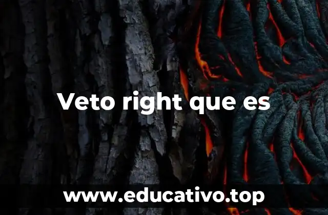 Veto right que es
