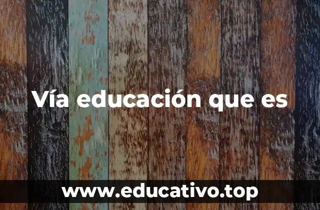 Vía educación que es