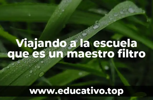 Viajando a la escuela que es un maestro filtro
