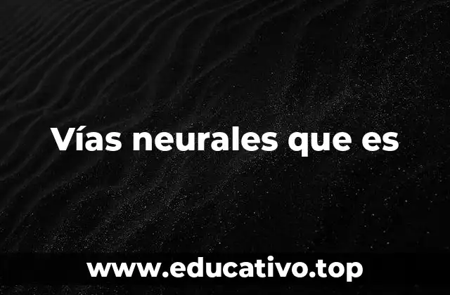 Vías neurales que es