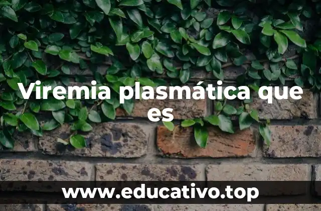 Viremia plasmática que es