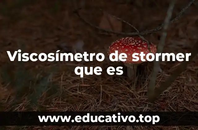 Cómo funciona el viscosímetro de Stormer sin mencionar directamente la palabra clave