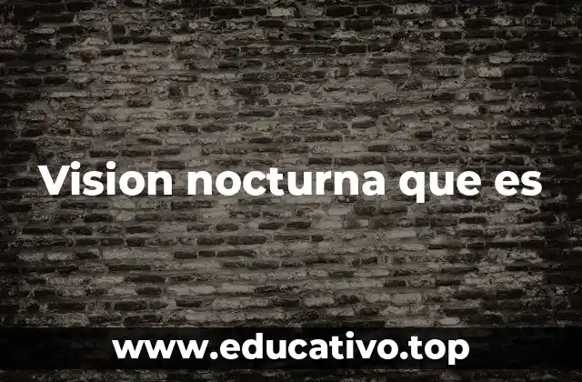 Vision nocturna que es