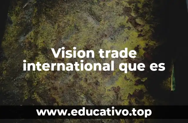 Vision trade international que es
