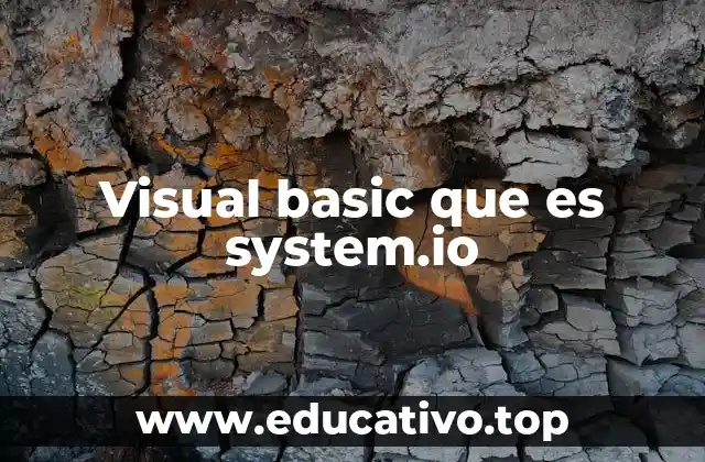 Visual basic que es system.io