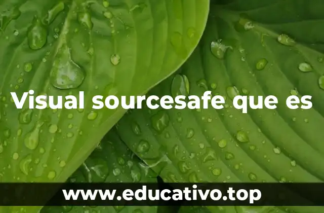 Visual sourcesafe que es