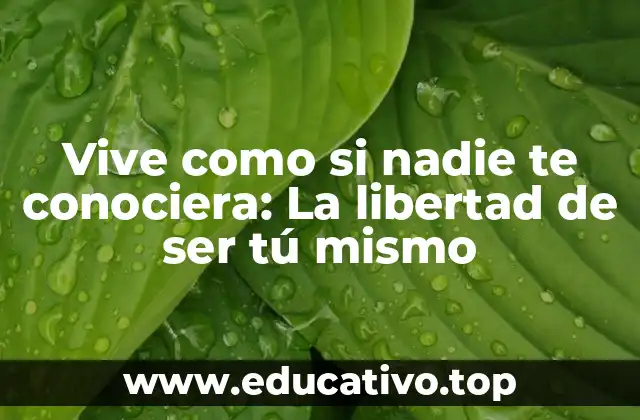 Vive como si nadie te conociera: La libertad de ser tú mismo