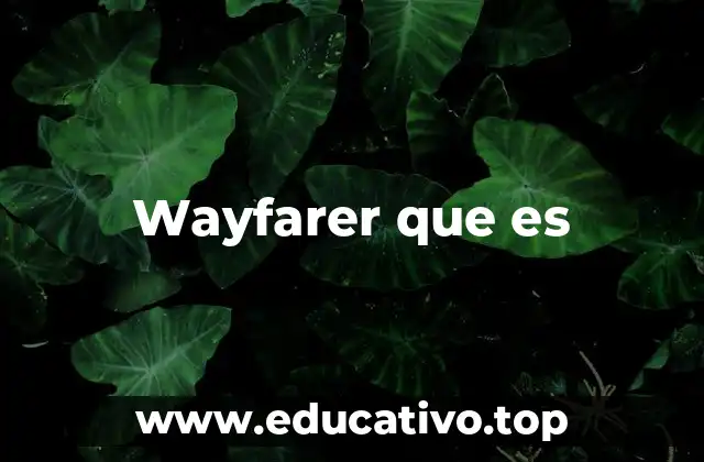 Wayfarer que es