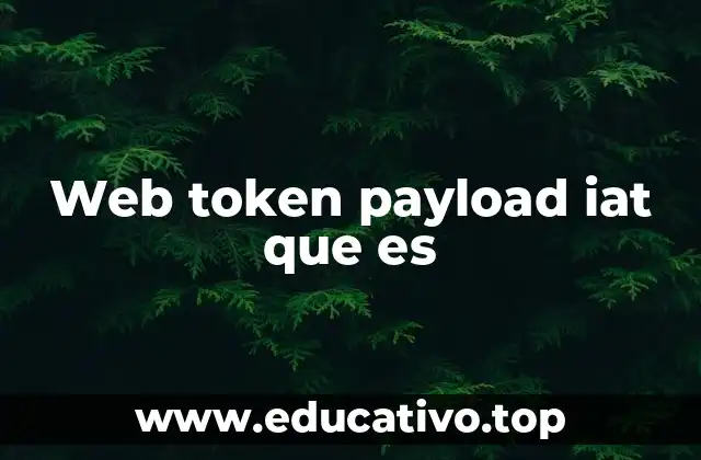 Web token payload iat que es