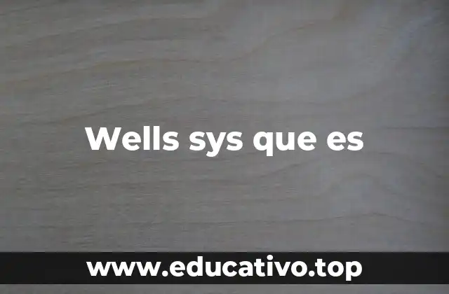Wells sys que es