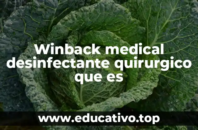 Características del Winback Medical Desinfectante Quirúrgico