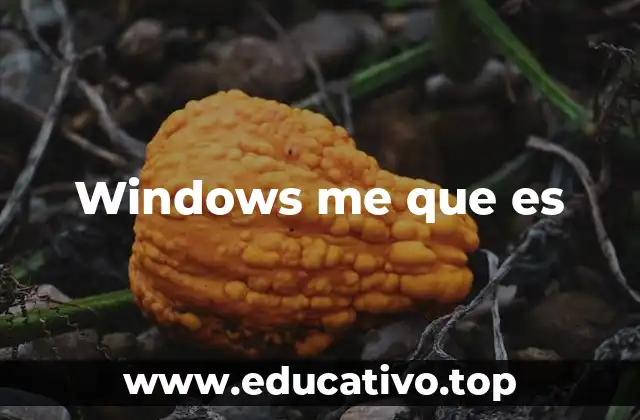 El legado de Windows ME en la historia del software