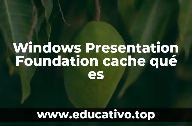 Windows Presentation Foundation cache qué es