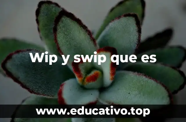 Wip y swip que es