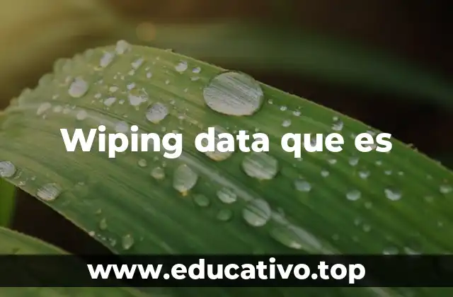 Wiping data que es
