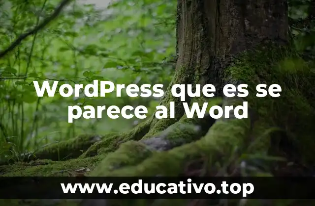 Diferencias entre WordPress y Word