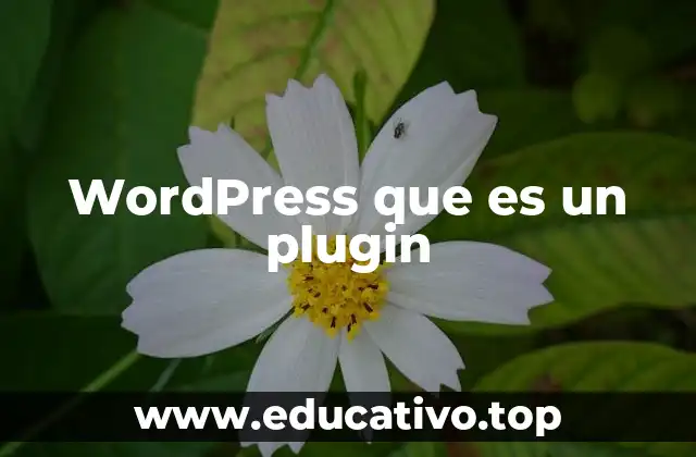 Cómo los plugins transforman la funcionalidad de WordPress
