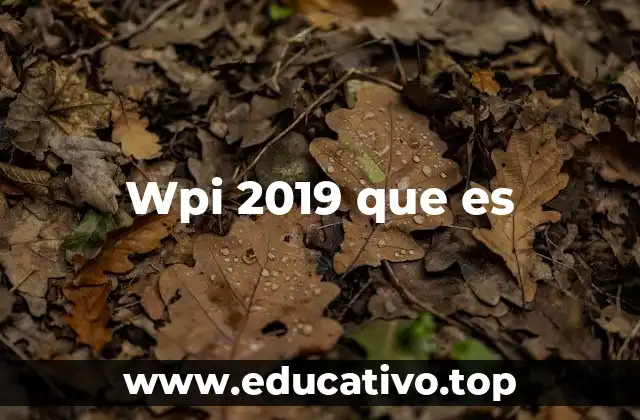 Wpi 2019 que es