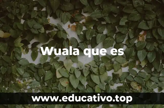 Wuala que es