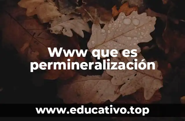 Www que es permineralización