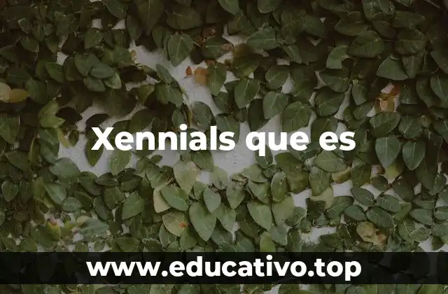 Xennials que es