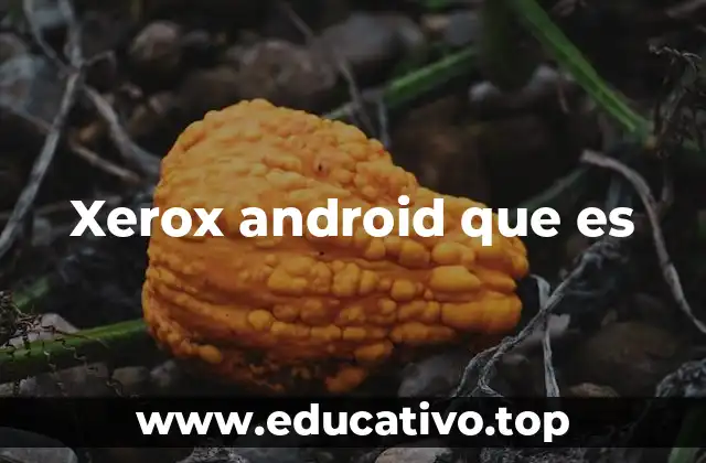 Xerox android que es