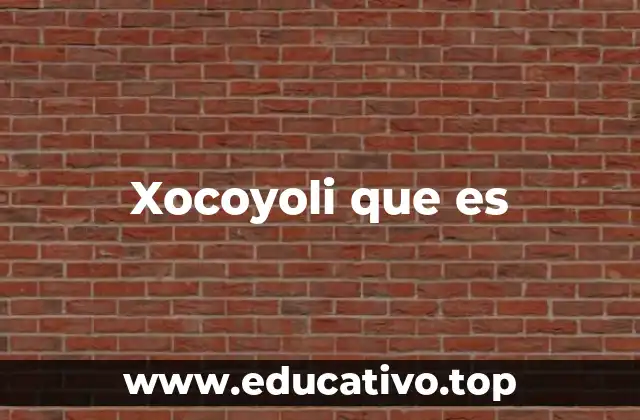 Xocoyoli que es