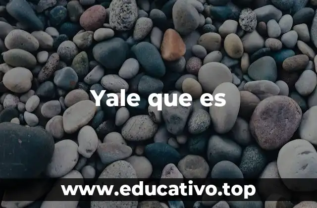 Yale que es