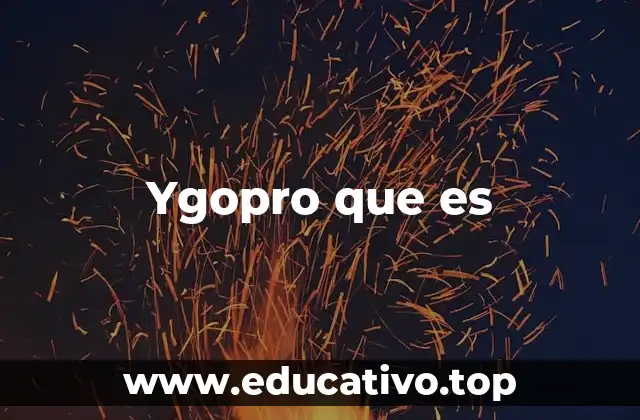 Ygopro que es