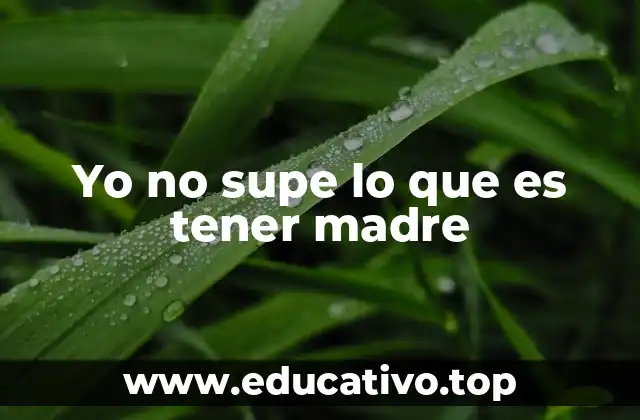 Yo no supe lo que es tener madre