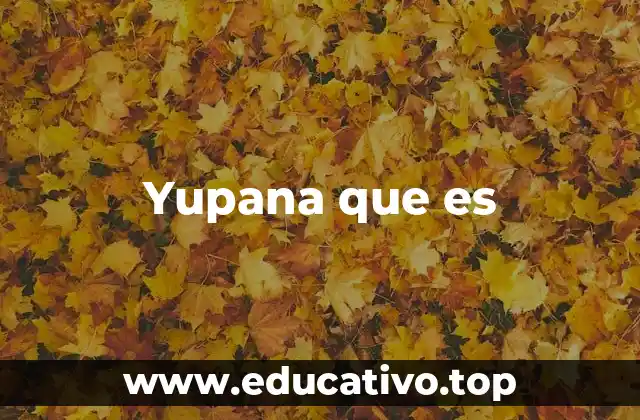 Yupana que es