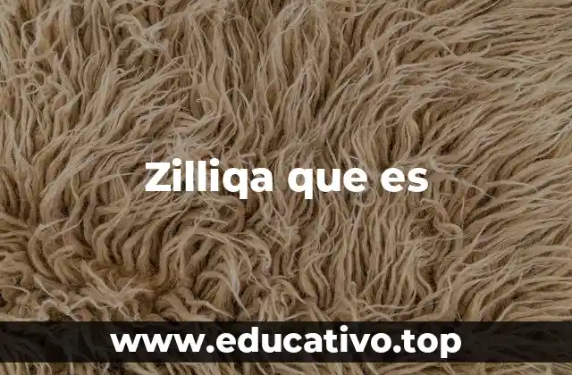 Zilliqa que es
