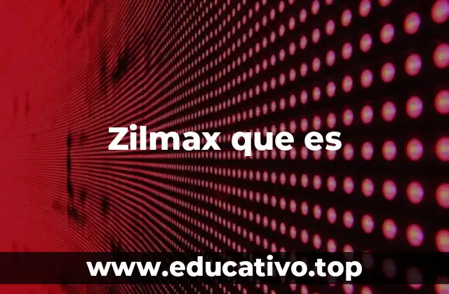 Zilmax que es